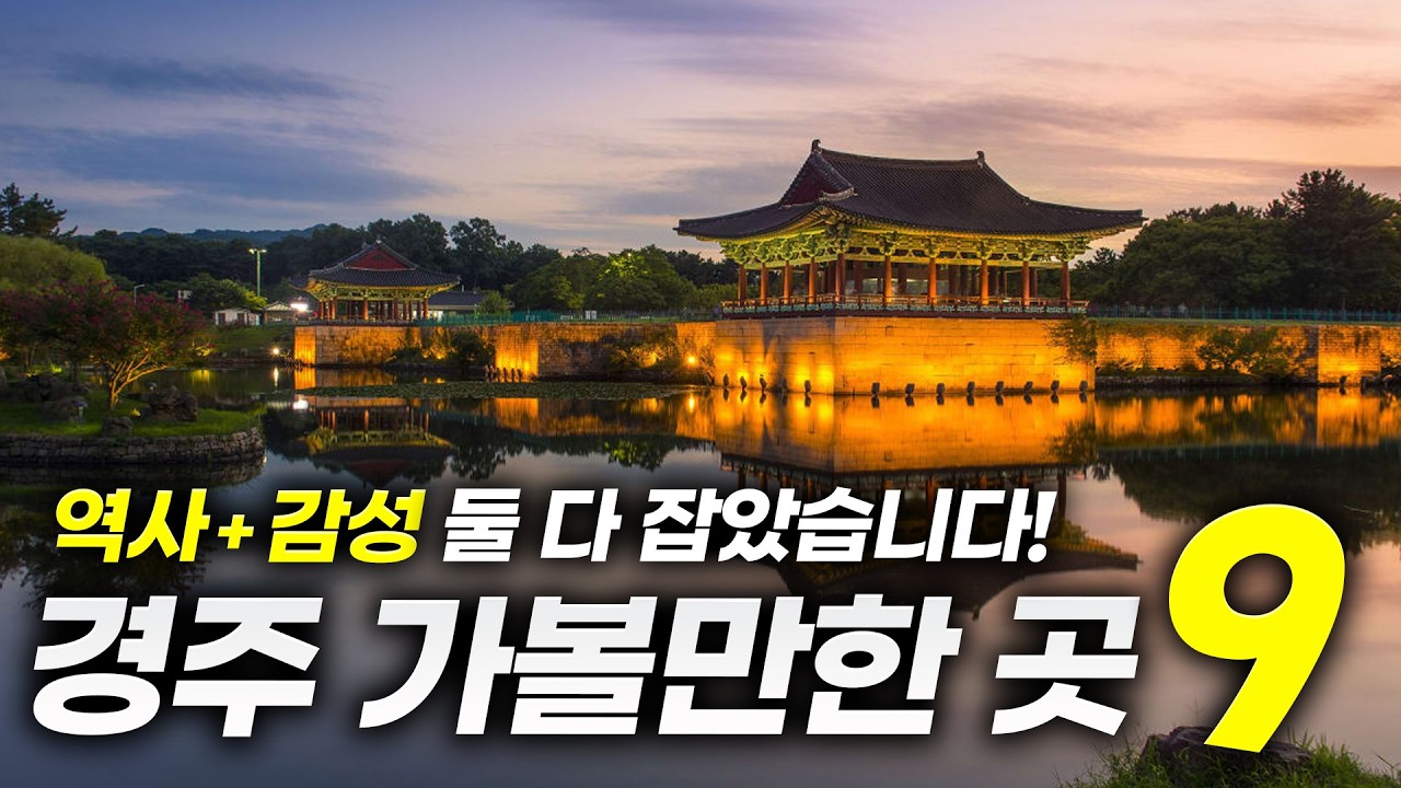경주로 떠나야 하는 이유ㅣ경주만 N번째 다녀온 여행 에디터가 알려주는 경주 가볼만한 곳 BEST9(+명소추천,꿀팁)
