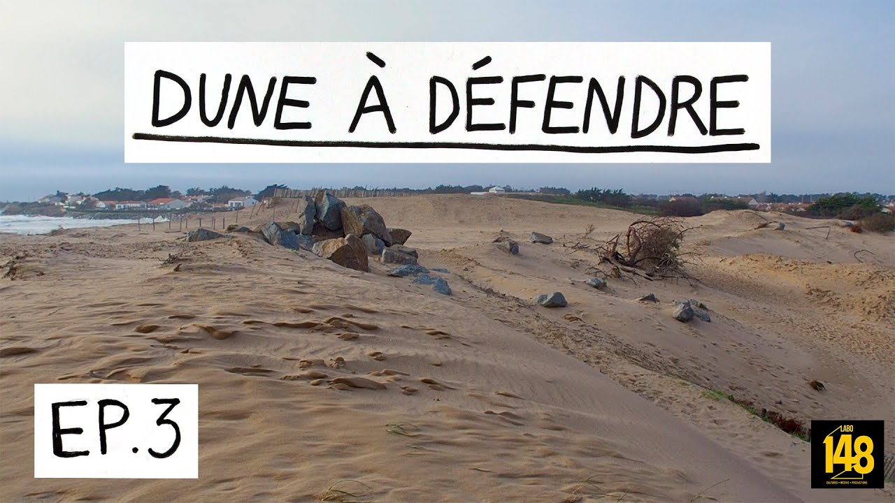 DUNE À DÉFENDRE - Projet de port à Brétignolles, l'injonction au développement économique