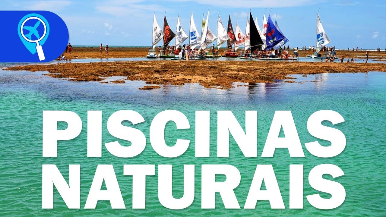 Piscinas Naturais: saiba quais as melhores do Nordeste do Brasil