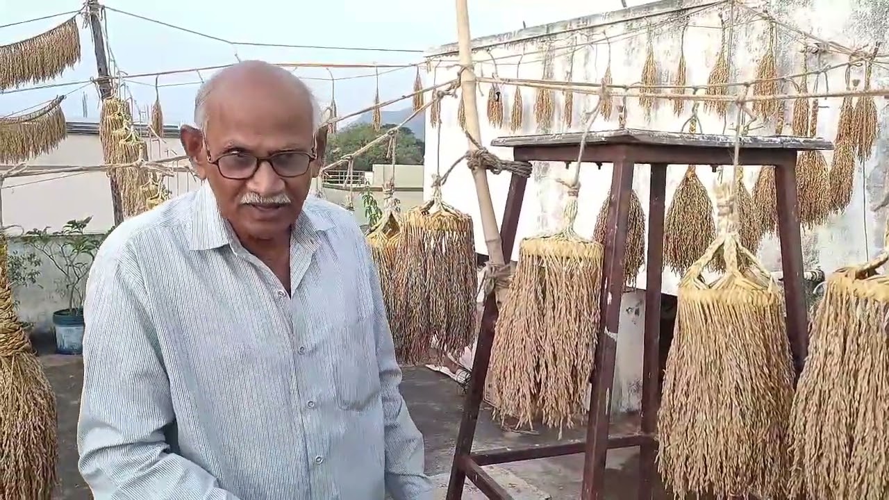 పిచ్చుకలు పరిరక్షణలో రైతుల భూమిక