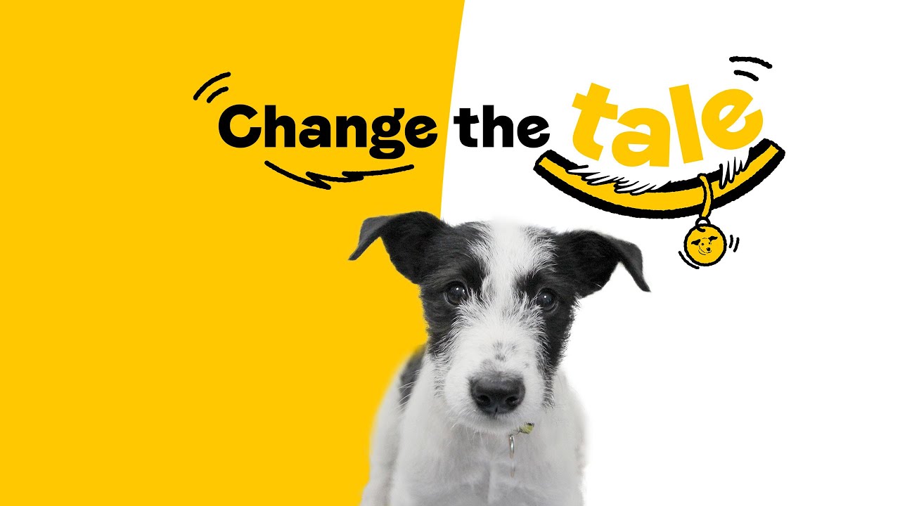 Flo's story | Change the Tale | Dogs Trust