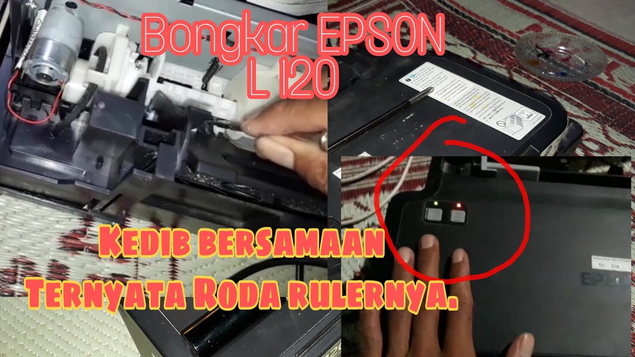 Bongkar dan perbaiki printer Epson L120. Lampu berkedip bersamaan