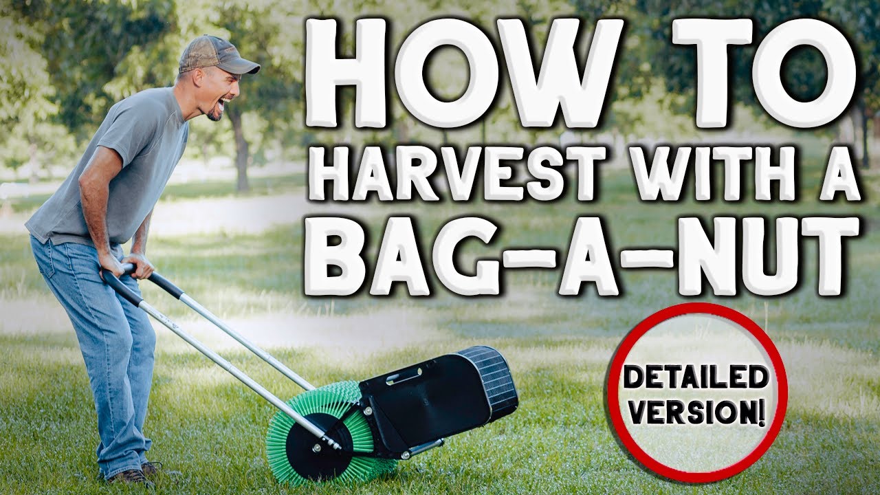 How To Successfully Harvest Pecans With The Bag-A-Nut. How to Use a Bag-A-Nut