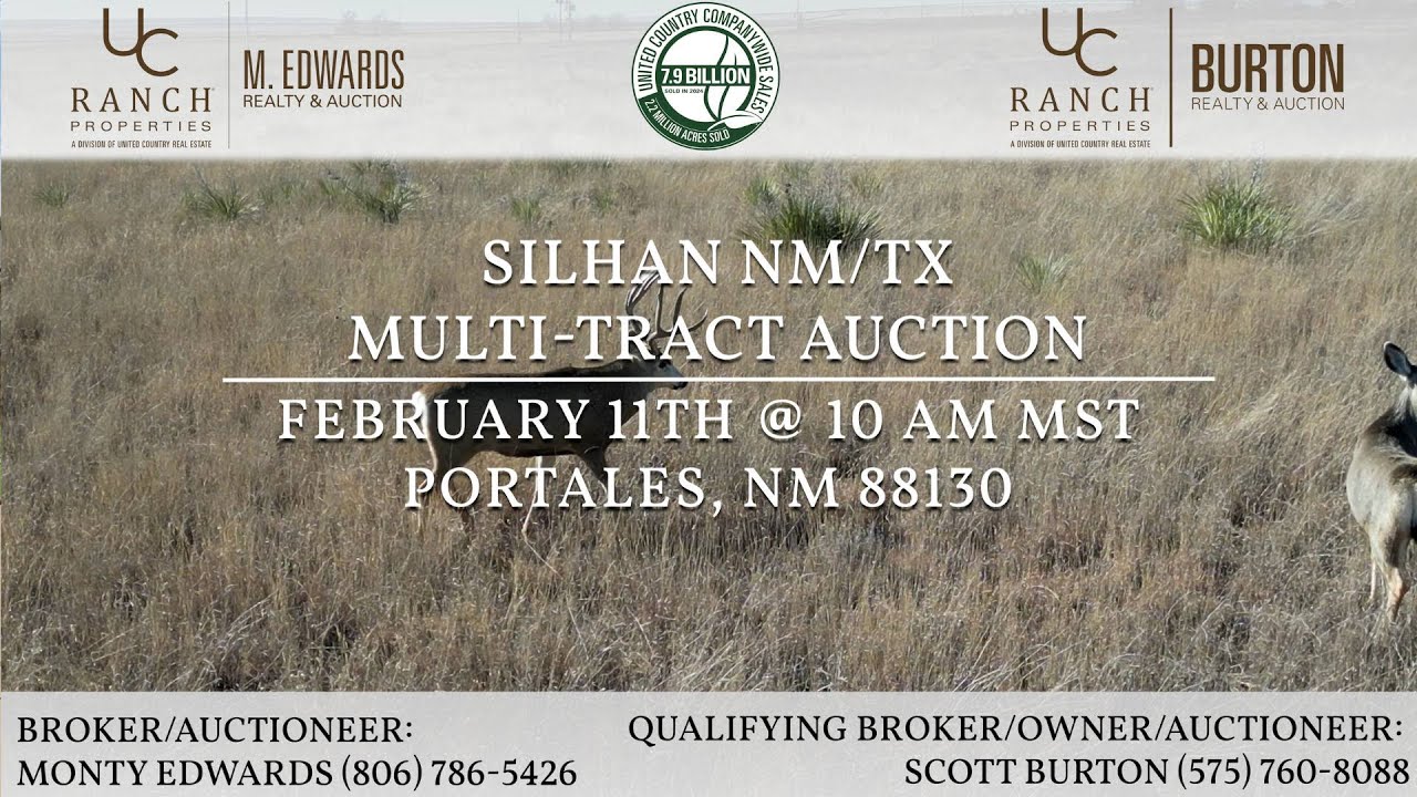 Silhan NM/TX Multi-Tract Auction