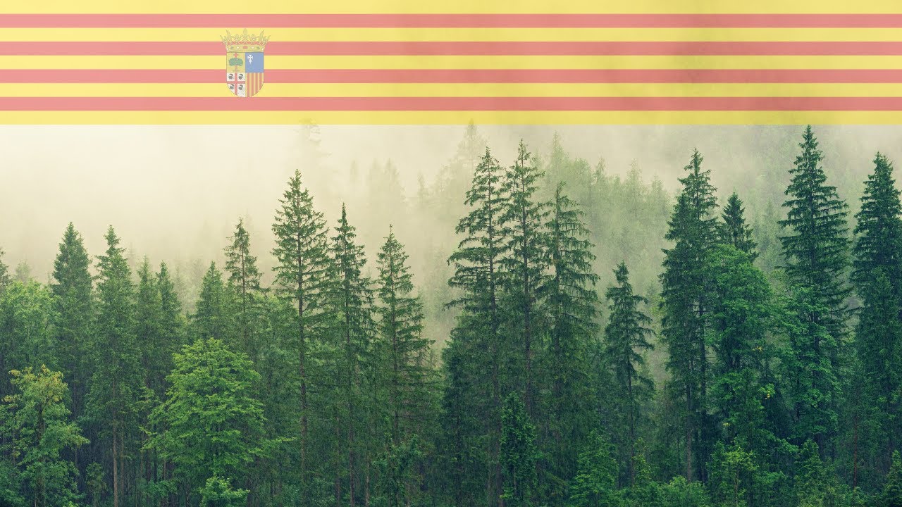 Pruebas Agentes Protección de la Naturaleza de Aragón 🔸 MasterD