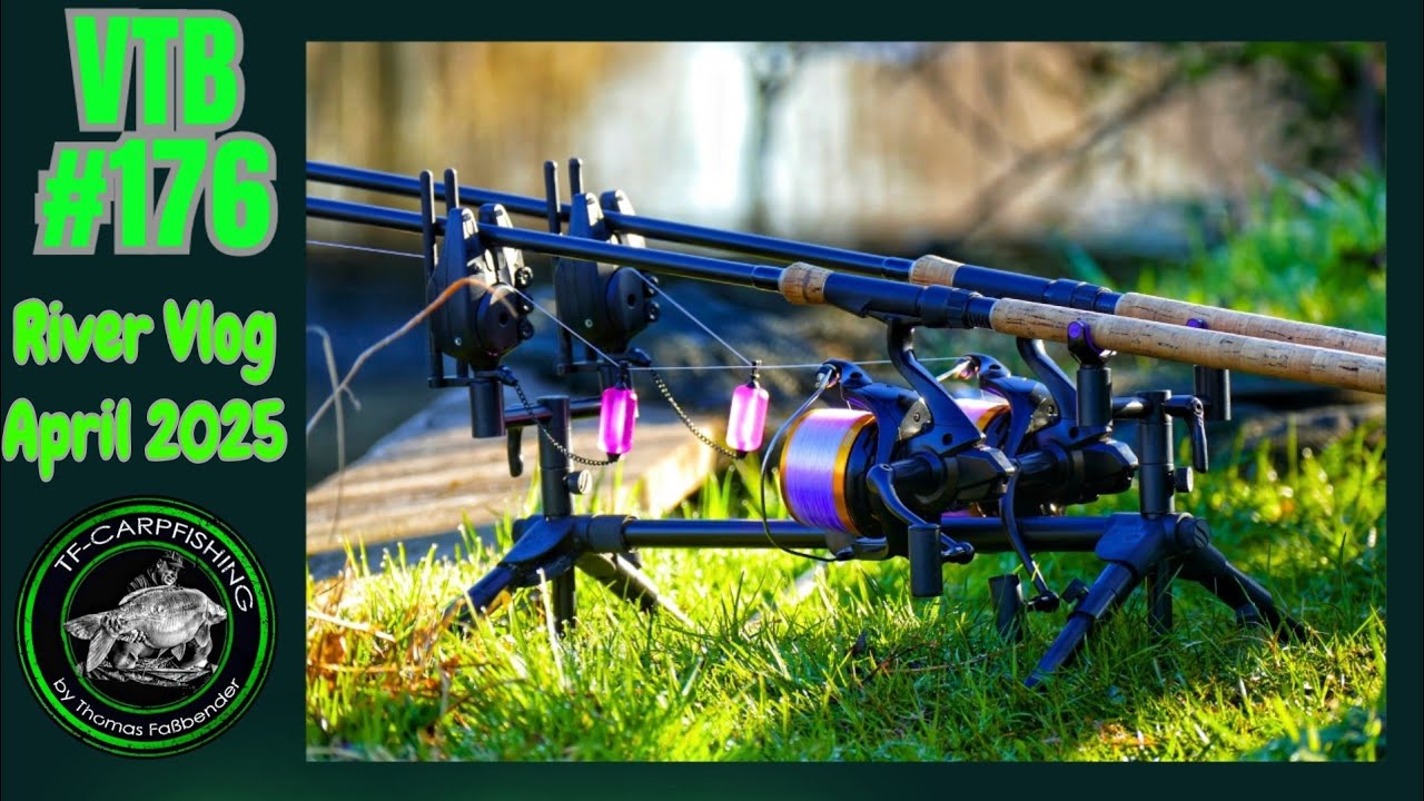 Karpfenangeln VTB 176 - River Vlog April 2025 #frühjahr #fluss #fishing #carp