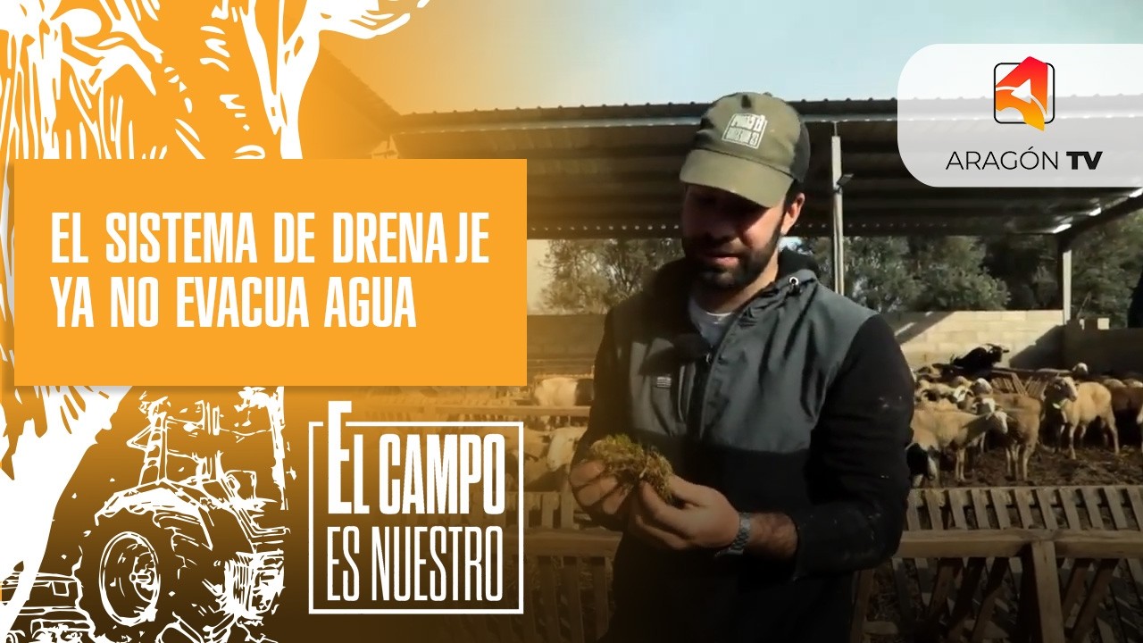 El sistema de drenaje ya no evacua agua