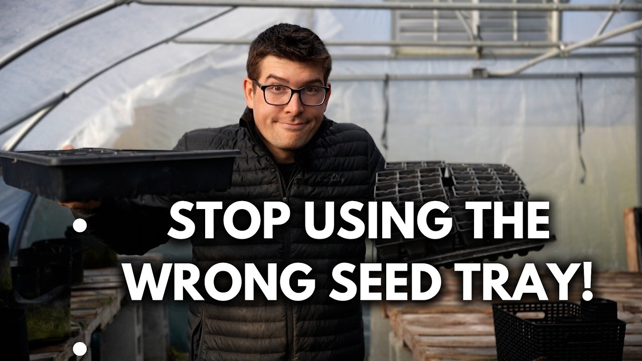 Shallow Vs. Deep Seed Starting Trays - Which is BEST?