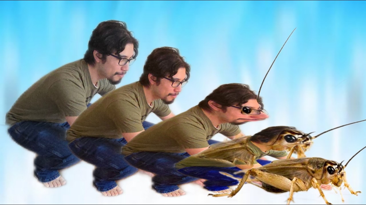 Forcing Crickets On My Friends