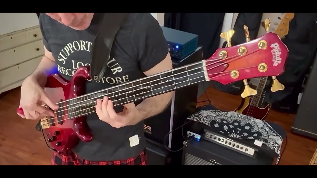 Diamonds on the Soles of her Shoes - Paul Simon bass fills & grooves highlights (Bakithi Kumalo)