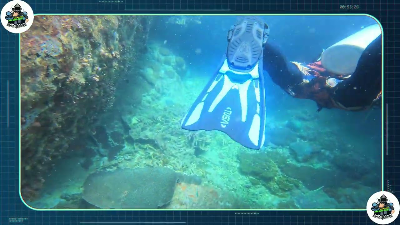 Batu Malang Dive Spot | Marine Life Discovery