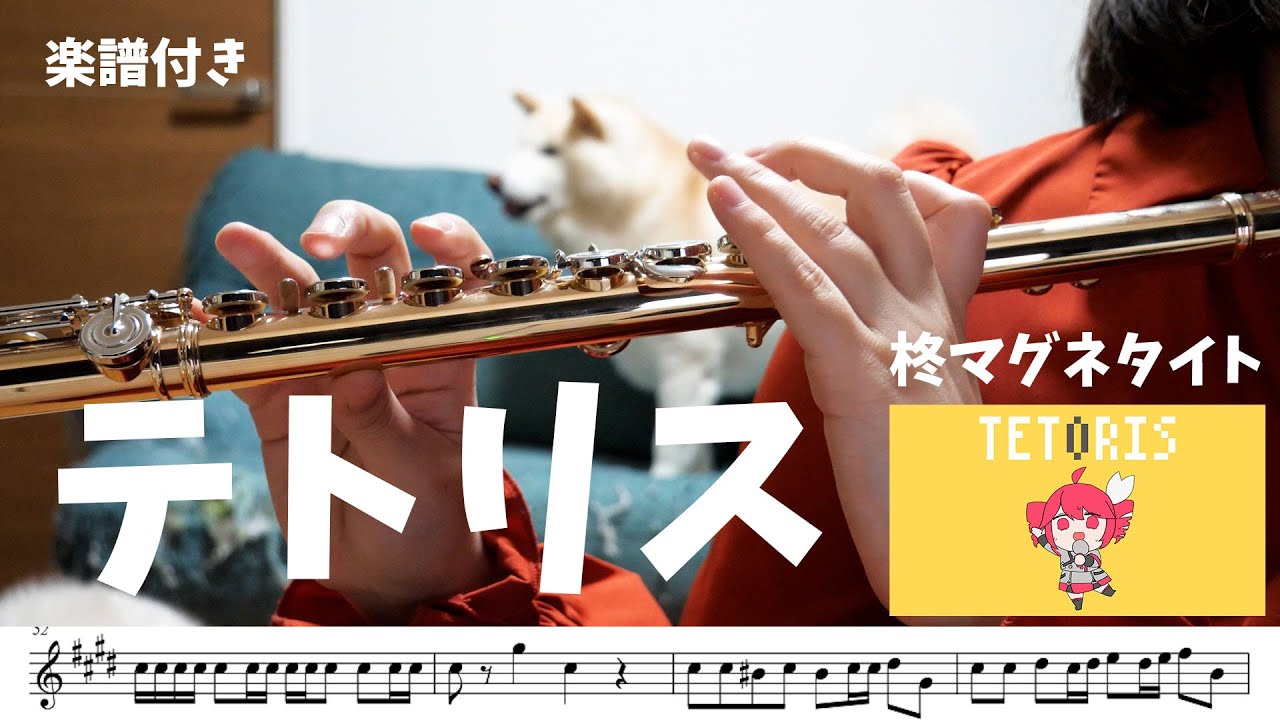 ☆楽譜付き【#フルート】テトリス/柊マグネタイト【演奏してみた】#flute