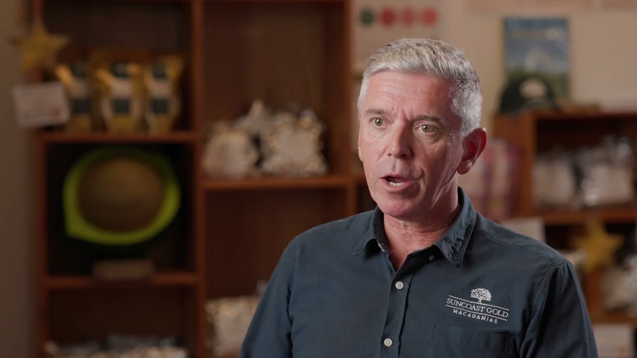 Gympie nut co-op modernises production to keep macadamias local