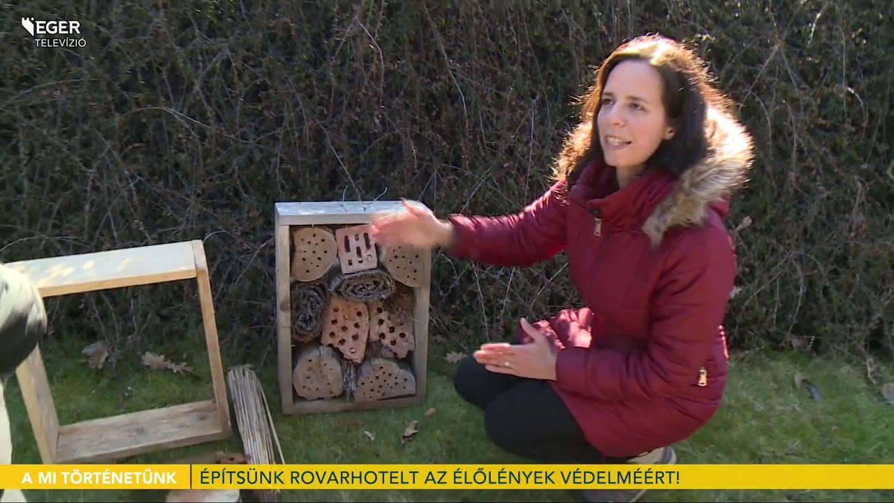 Rovarhotelek - 2021.03.02.