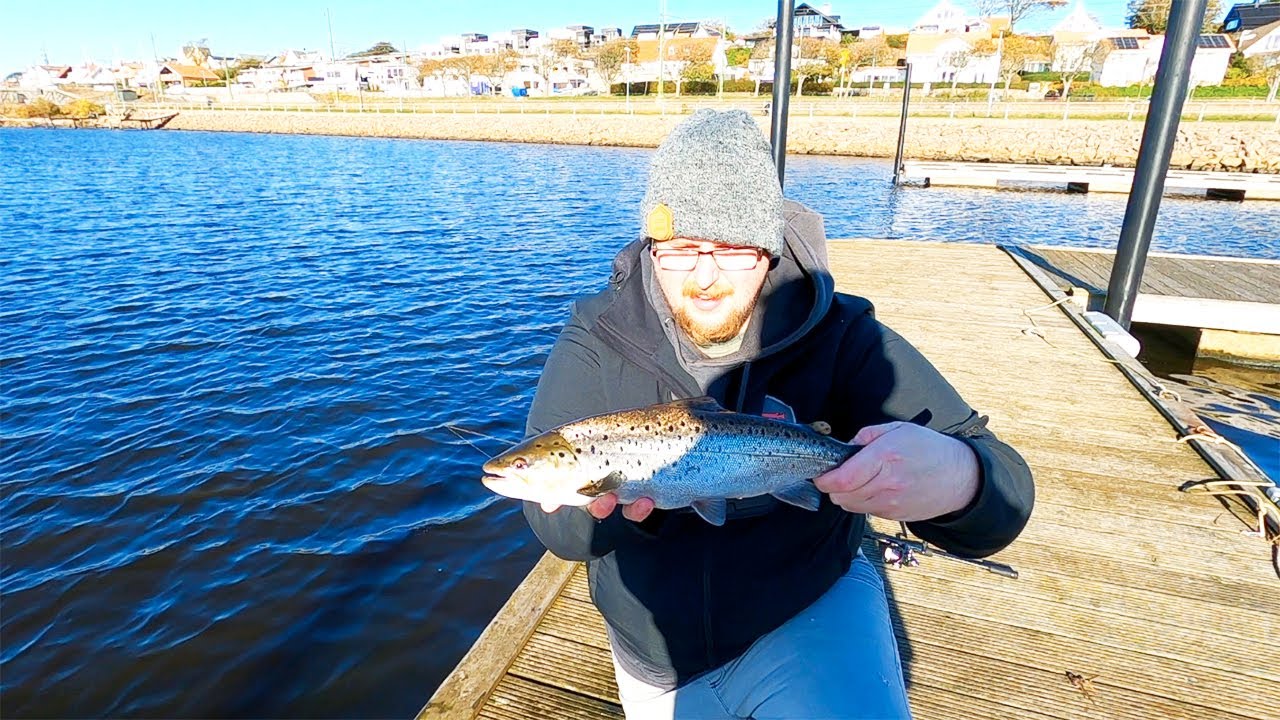 H&Ouml;STFISKE efter ABBORRE i en &aring; - Eller sa ni HAVS&Ouml;RING? - Fiska med Kalle #1
