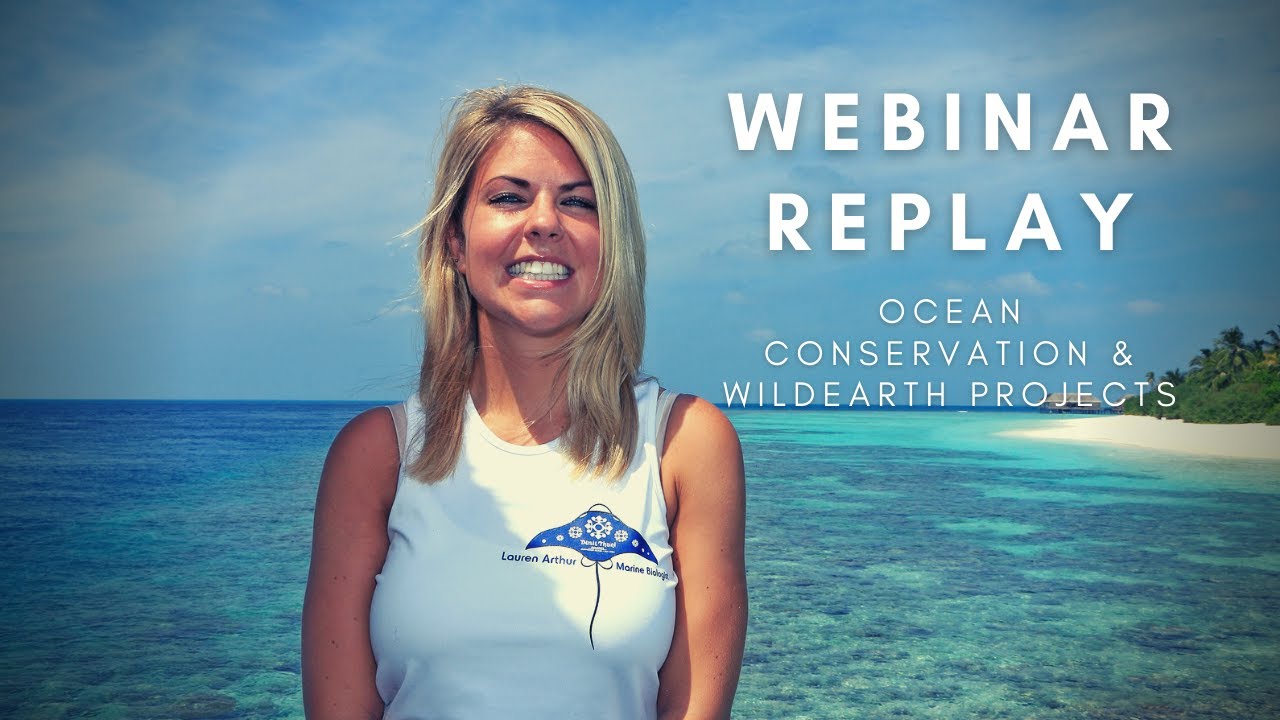 Ocean Conservation and WildEarth Project Webinar