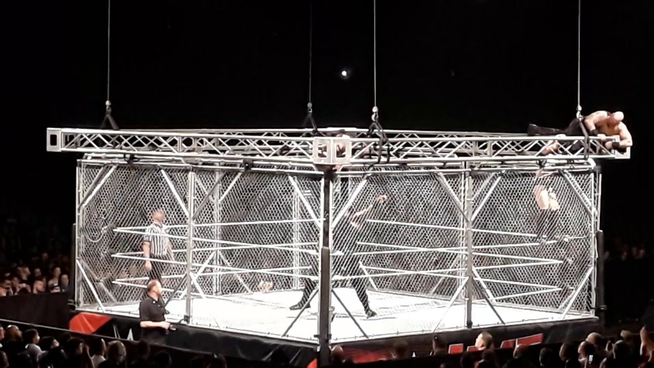 Daniel Bryan and Roman Reigns vs Luke Harper and Erick Rowan steel cage match 21st October 2019
