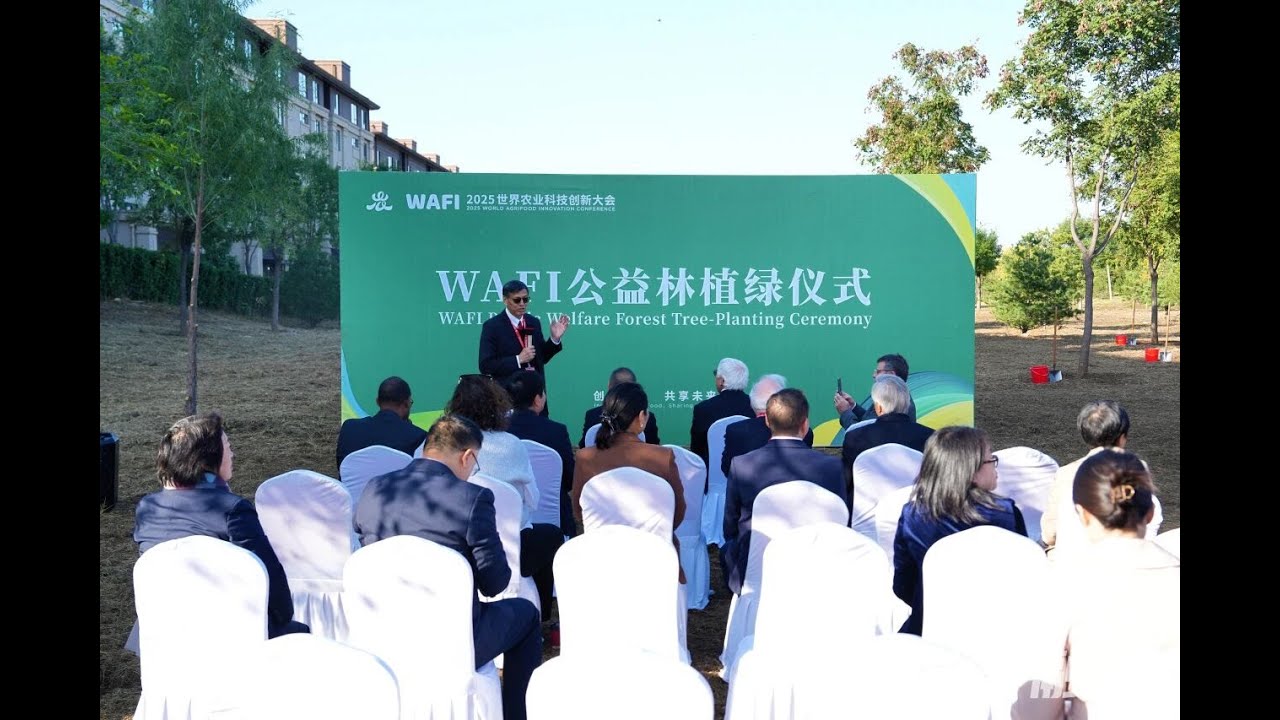 🌳 WAFI Public Welfare Forest 2025 | Planting Seeds for a Sustainable Future
