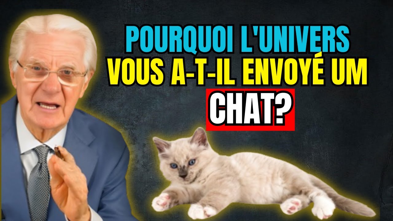 Découvrez la SPIRITUALITÉ des chats - Pourquoi les chats entrent-ils dans votre vie ?🐱🐾