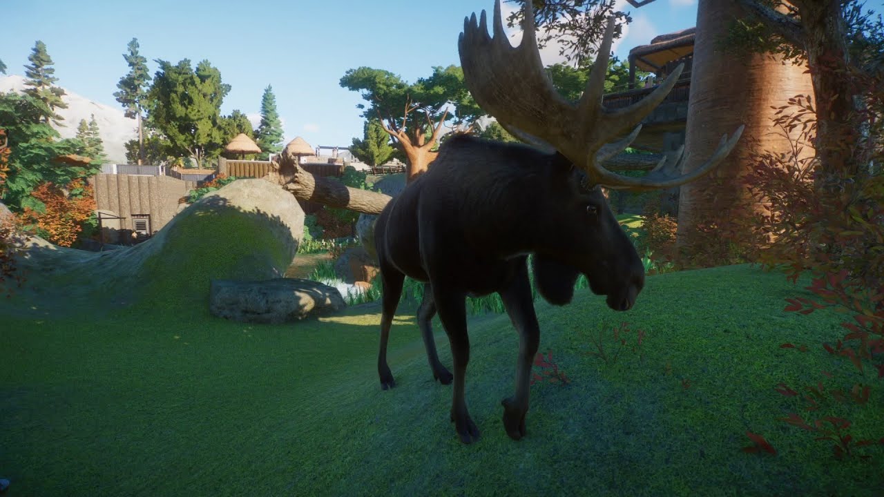 Planet Zoo (PC)(English) #114 9 Minutes of Moose (North America Animal DLC)