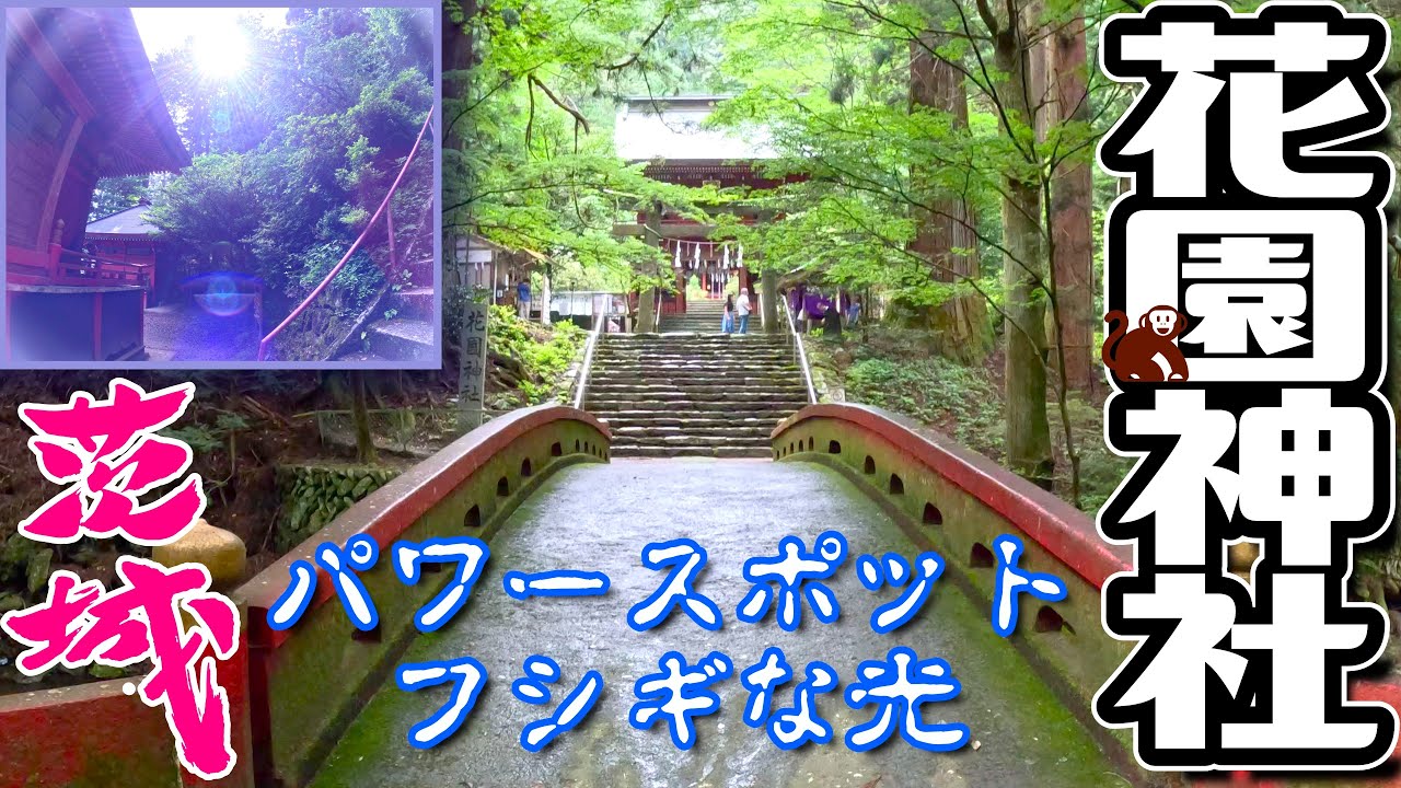 [4K]神社ソムリエ推薦✨ 