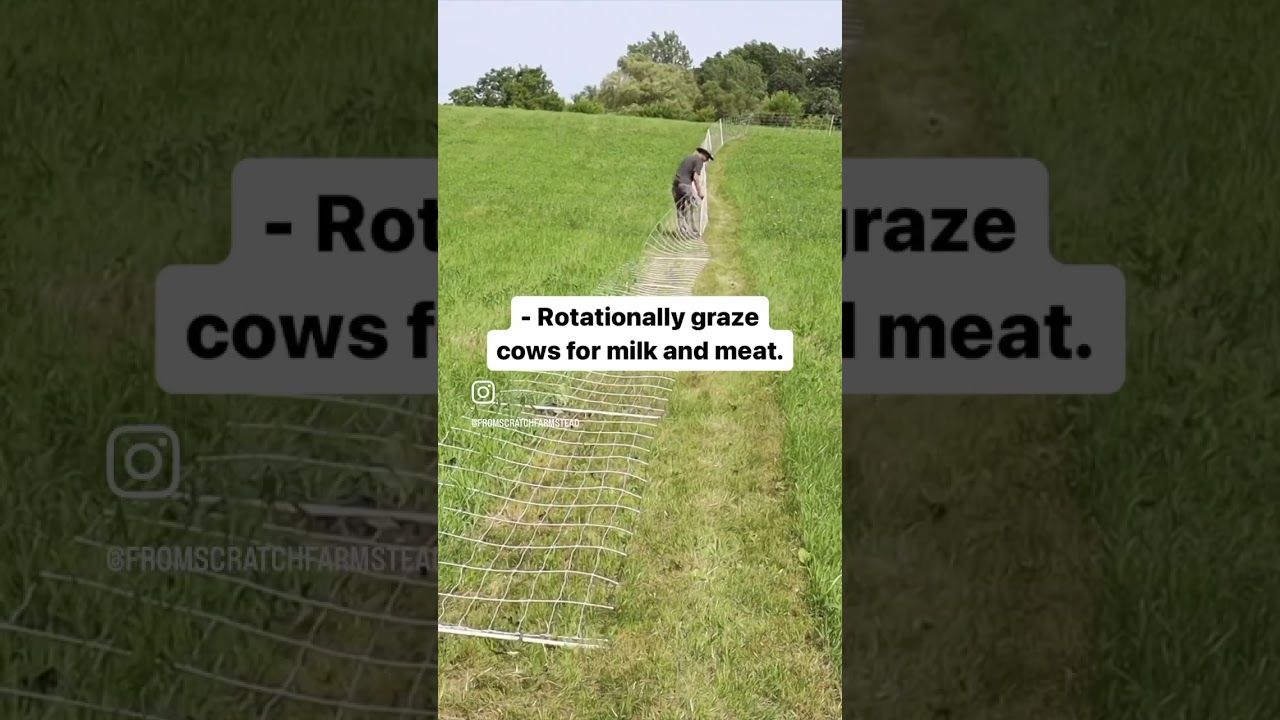 We Can Do This On 5 Acres! #homesteading