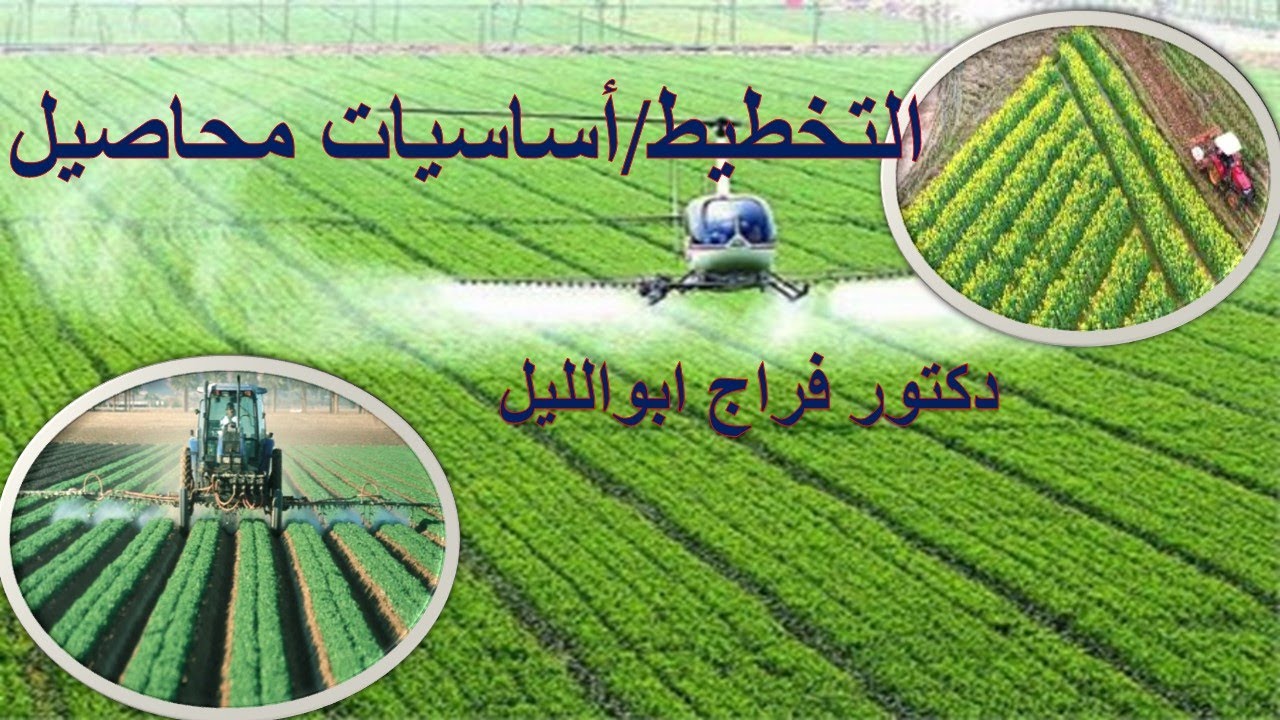 التخطيط / أساسيات المحاصيل
