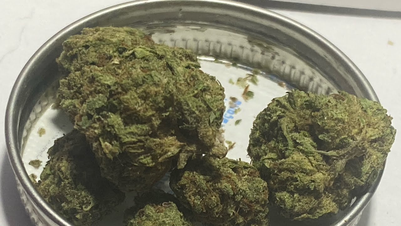 Budinga Gush Mintz | Legal THCA Hemp Review
