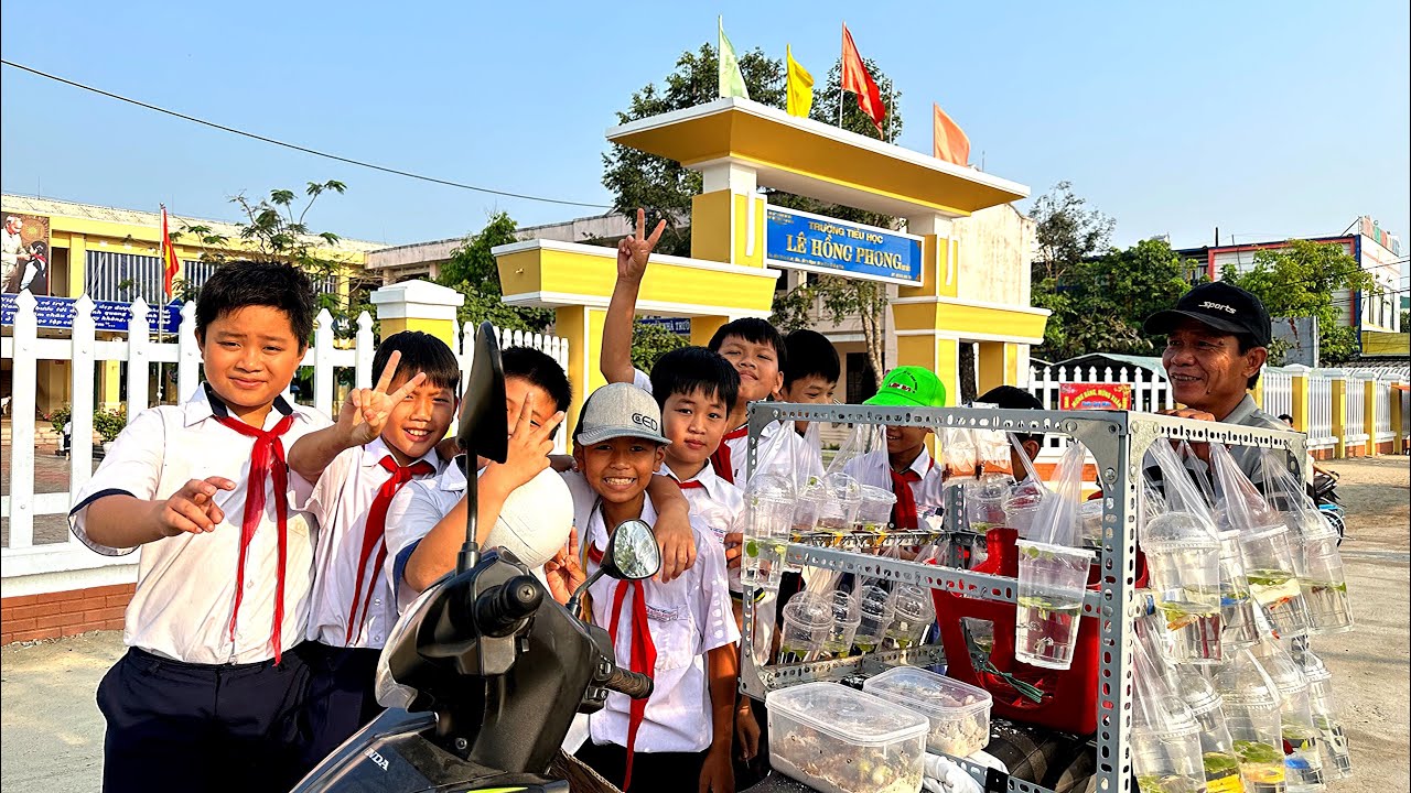 Review Xe Bán Cá Bảy Màu - Betta Dạo | Gặp Những Khách Hàng Dễ Thương | Dat Guppy