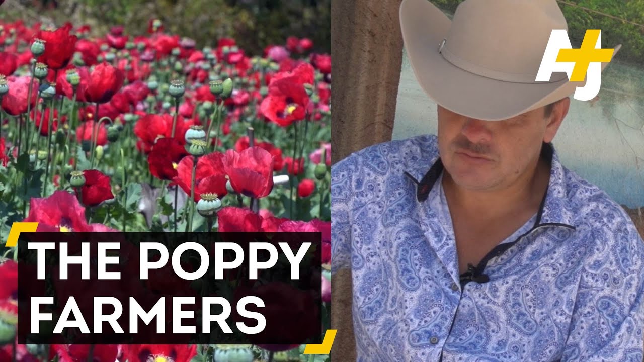 Meet The Mexican Poppy Farmers
