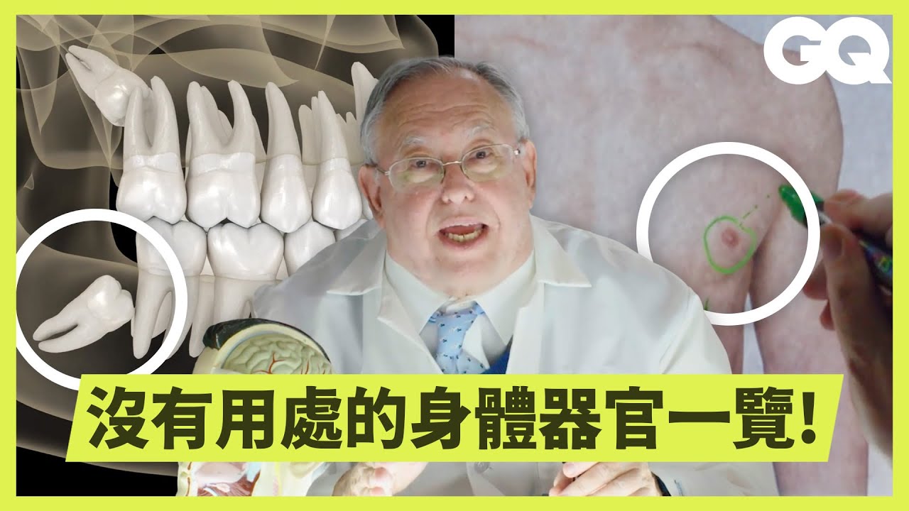 人為什麼要有智齒、闌尾？生物學教授解釋從頭到腳各種「無用處」人體器官｜科普長知識｜GQ Taiwan