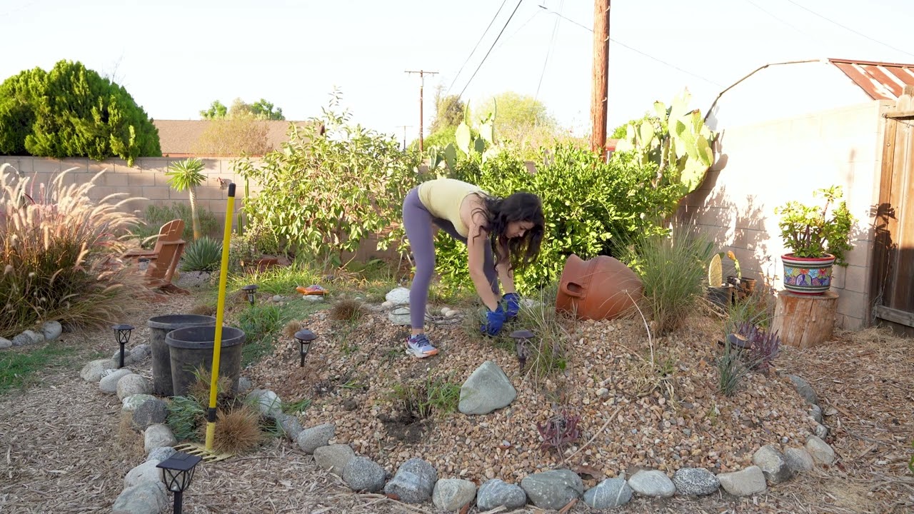Garden transformation!