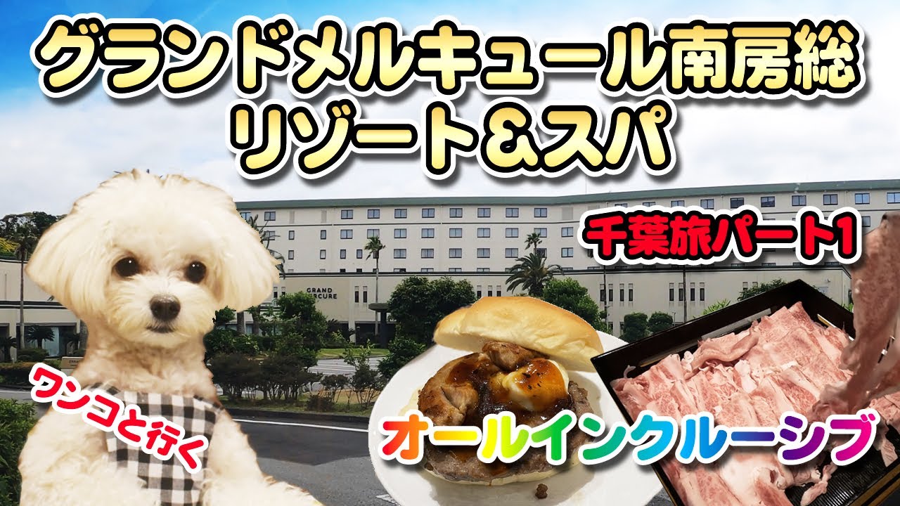 【ワンコと行く】房総の旅【グランドメルキュール南房総】パート1