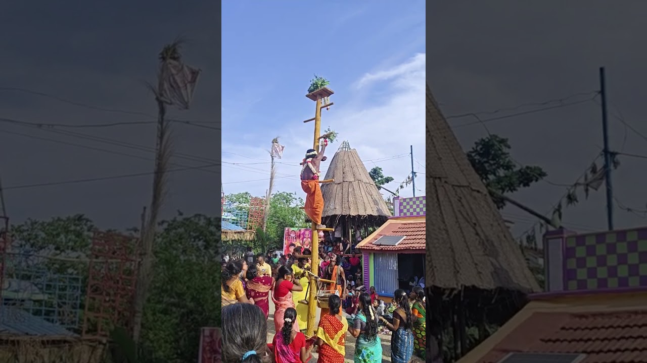 மேலப்பட்டு கிராமம் காத்தவராயன் கழுகு மரம் ஏறுதல்... 