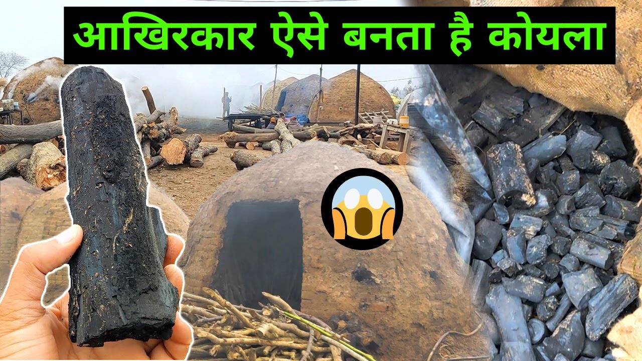 आपको भी नहीं पता होगा कोयला कैसे बनता है 😱  | You don't even know how coal is made | Farming Leader