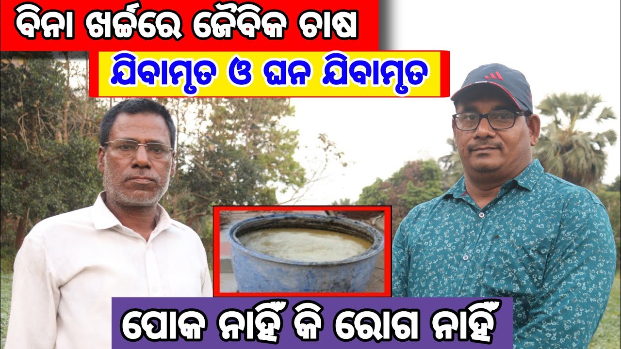 ବିନା ଖର୍ଚ୍ଚରେ ଜୈବିକ ଚାଷ jibamrut and ghana jibamrut