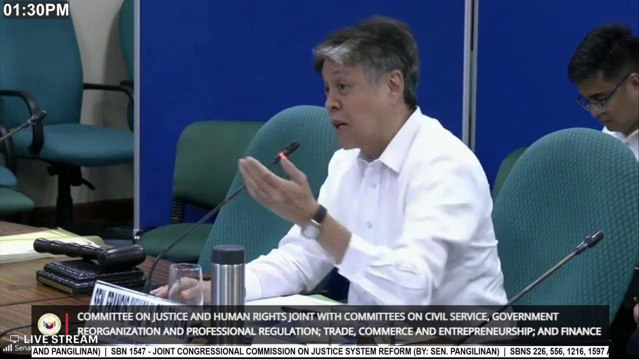 Public Hearing of the Committee on Justice and Human Rights joint with Civil Service