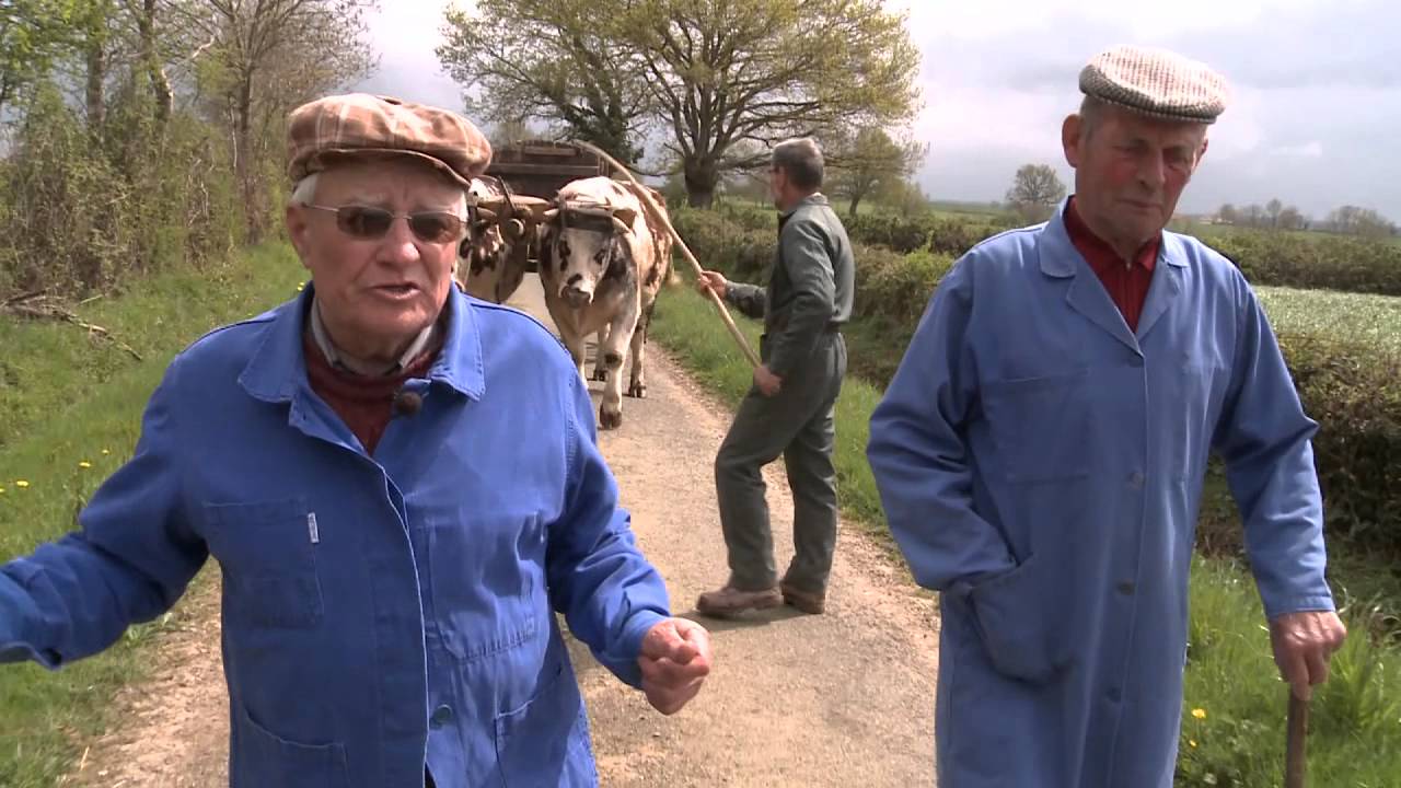 Saint-Jean-de-Mont, les derniers paysans qui chantent à l'oreille des boeufs, Midi en France