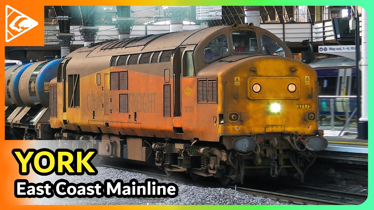 Trains at York (ECML) 14/11/2024