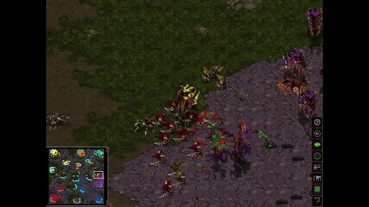 Brood War The Hunters: Zerg Wars
