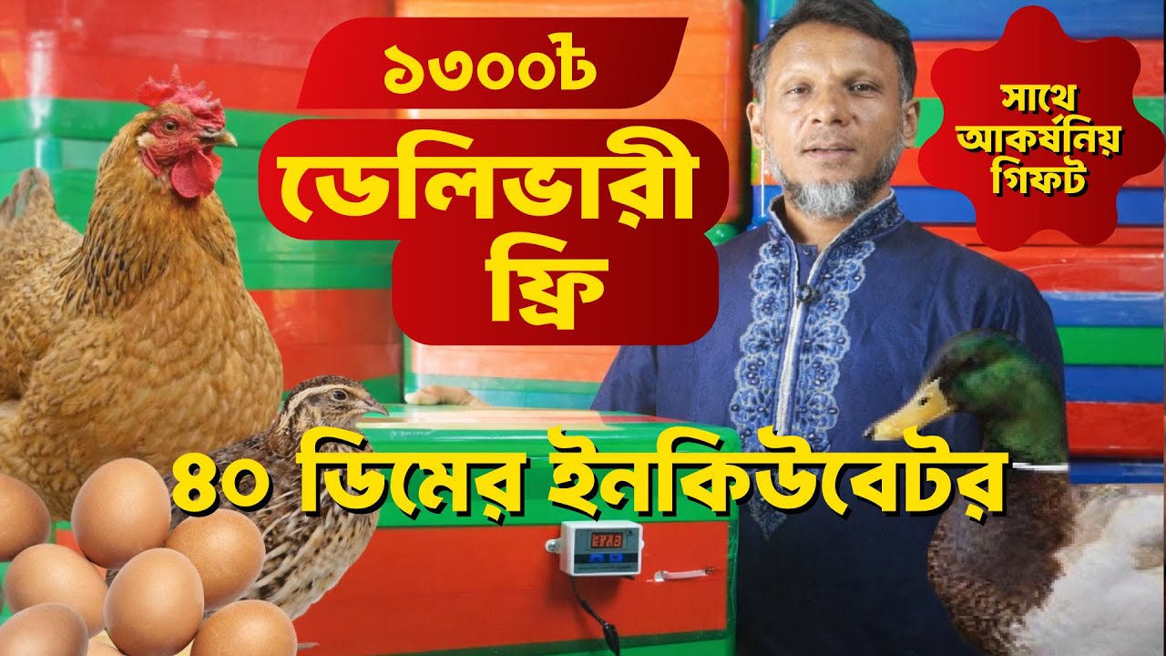 মাত্র ১৩০০ টাকায় ১০০ডিমের ইনকিউবেটরে সহজ বাচ্চা ফোটানো | #ডিম ফুটানো #বাচ্চা উৎপাদন #G Shop BD 🚀