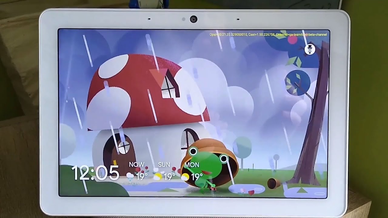 Google Weather Frog on Google Nest Hub Max