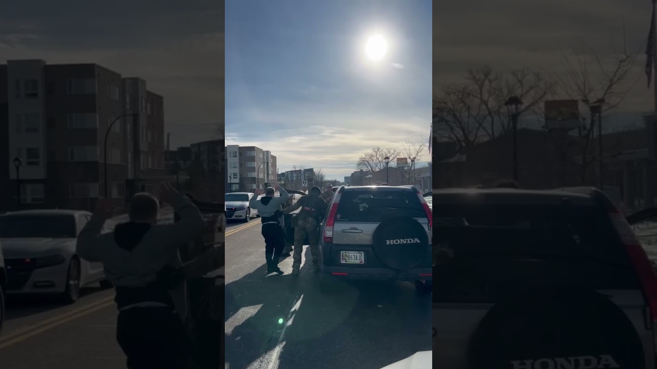 После стрельбы в Рене Гуд федеральные агенты начали преследование наблюдателей.