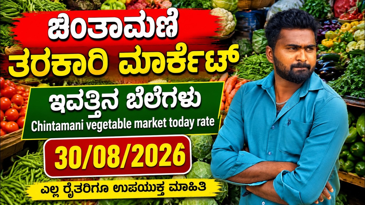 ಚಿಂತಾಮಣಿ ತರಕಾರಿ   ಮಾರ್ಕೆಟ್ ಇವತ್ತಿನ ಬೆಲೆಗಳು 30/08/2026 Chintamani tarkari  today rate