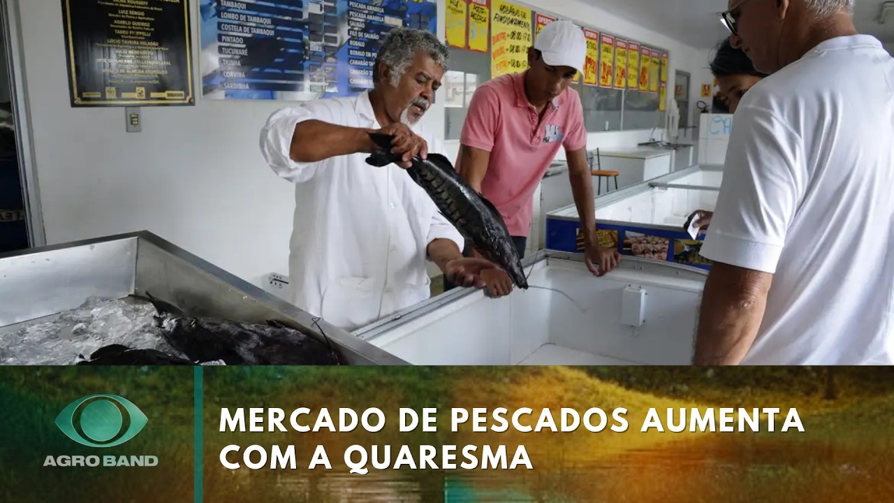 Quaresma impulsiona consumo de peixe
