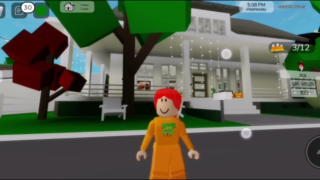 Roblox ASMR. (Brookhaven III)