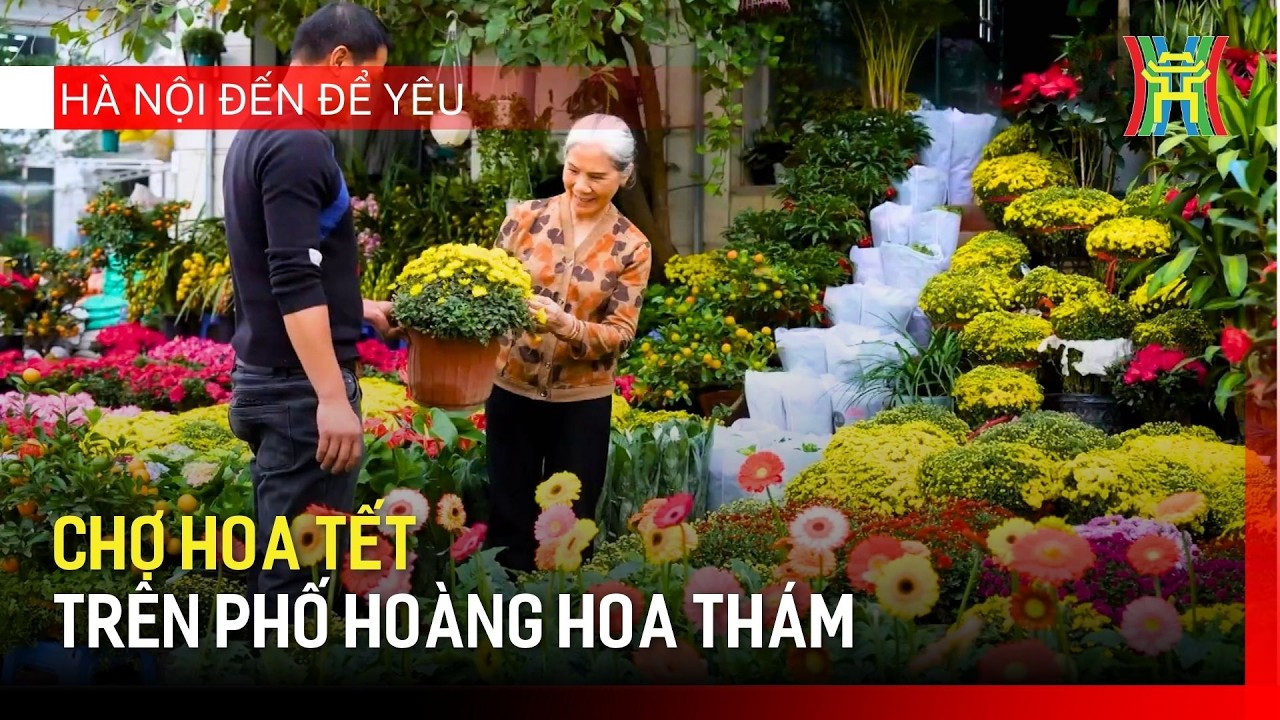 Chợ hoa Tết trên phố Hoàng Hoa Thám | Hà Nội đến để yêu