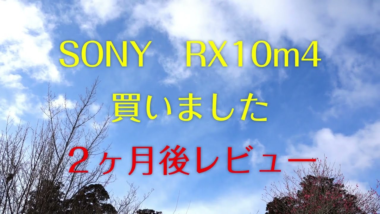 SONY　RX10m４　買いました  ２ヶ月後レビュー