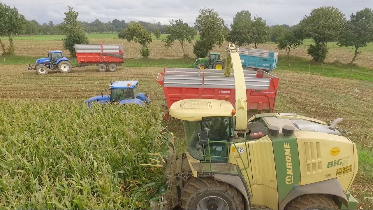 Système Shredlage - KRONE BIG X 850 - 12 rangs - Ensilage 2017 - ETA TALIGOT -