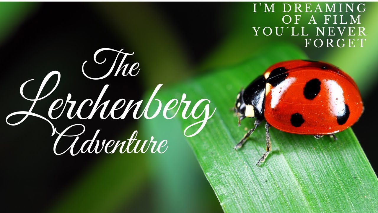 THE LERCHENBERG ADVENTURE